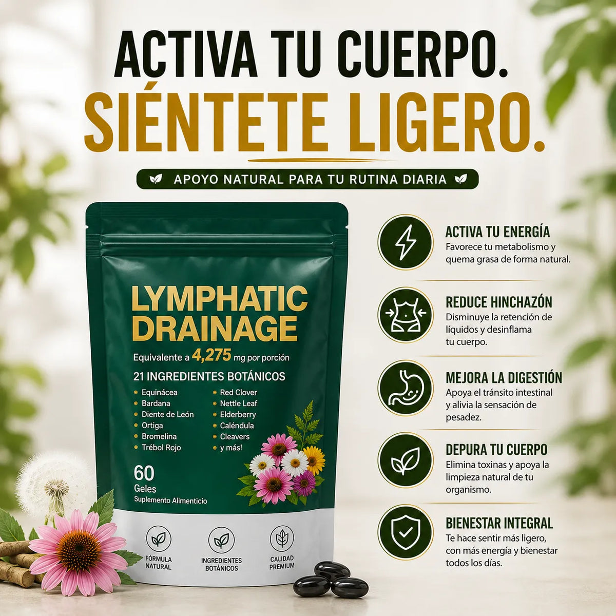 Drenaje linfático H y M