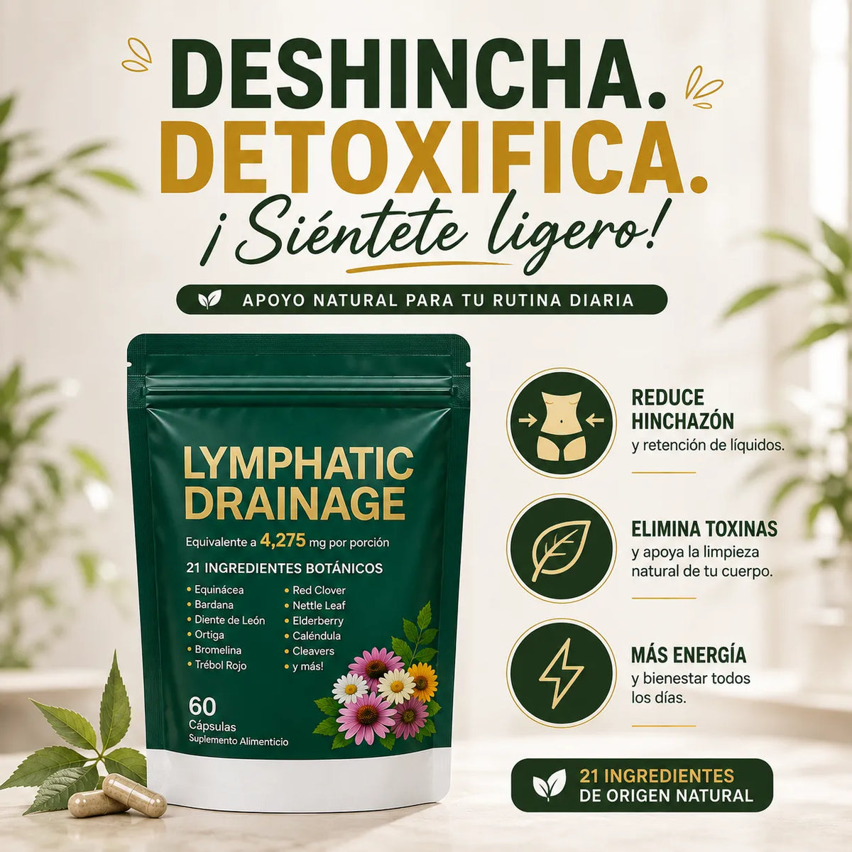 Drenaje linfático H y M